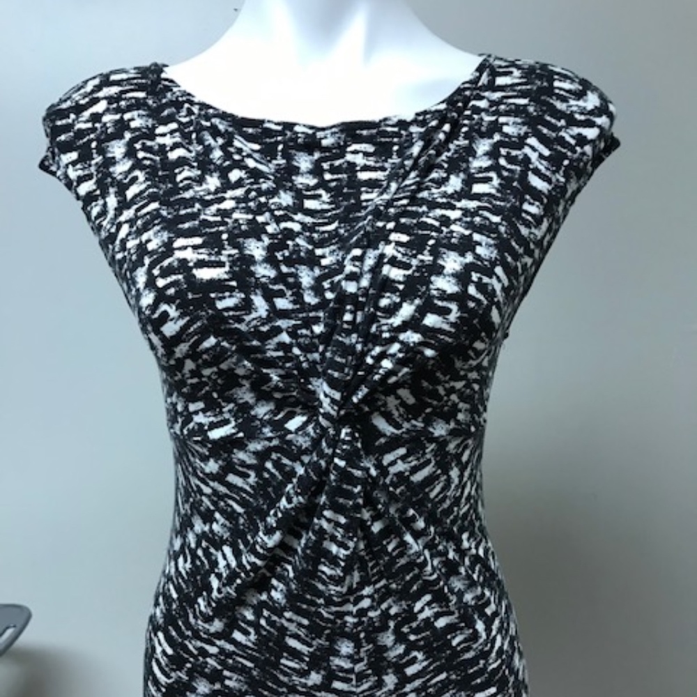 Ann Taylor Zebra Print